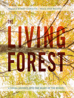 cover image of The Living Forest